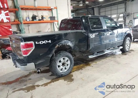 2009 Ford F-150 Xlt from USA, damaged, VIN 1FTPW14V49FB35484